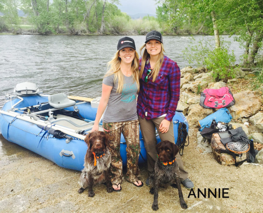 Wirehaired Pointing Griffon: Annie